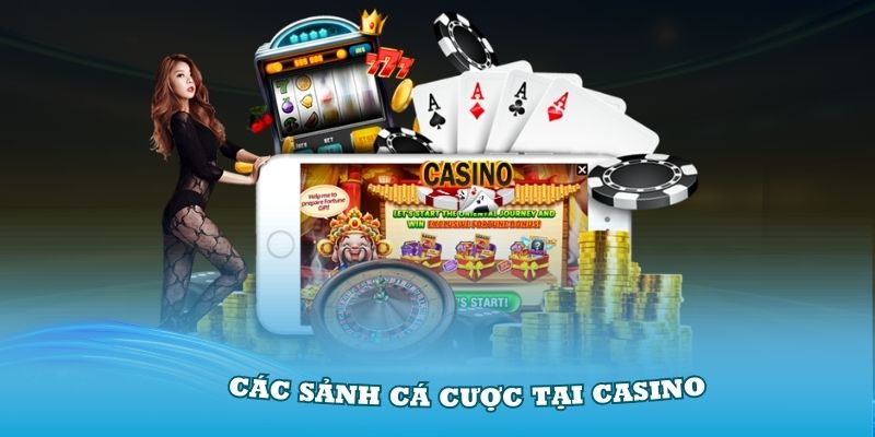 Giới thiệu các sảnh cá cược tại Casino