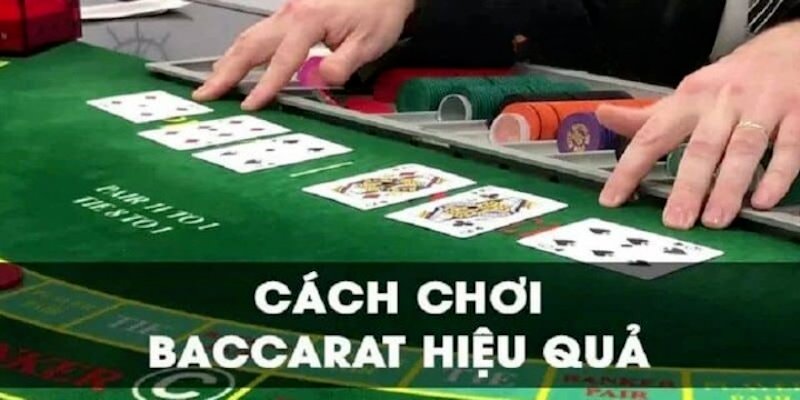 Kinh nghiệm chơi Baccarat theo cầu có xác suất thắng cao